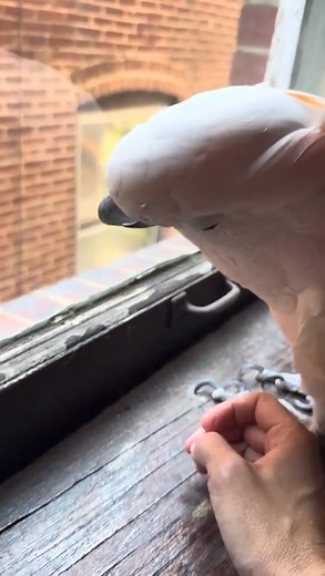 37 reactions | We’re taking a heartfelt house tour with Misha, my...