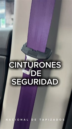 Cambio cinturones de seguridad