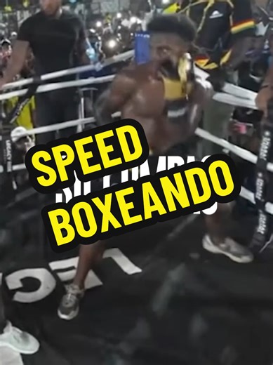 Análisis del Estilo de Boxeo de Speed