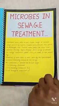biology project class 12 topic (microbes in human welfare)