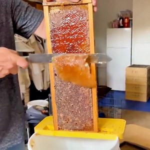 🐝Honey Extractor🍯Stainless Steel Beekeeping Extraction✔️Honeycomb Drum Spinner with Lid🍯Get ready to watch your honey flow with our clear lid extractor. | VEVOR Home Improvement