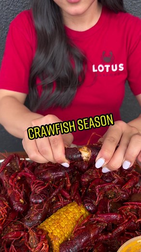 lotusseafood on TikTok