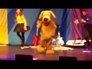 Wags the Dog live - Wiggles in Hamilton Ontario