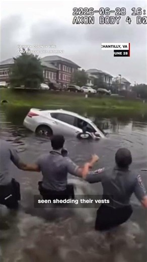 Driver rescued from sinking car