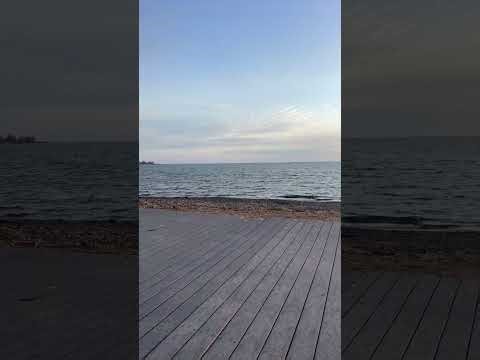 Broke but Skilled? Here’s How to Make Ends Meet