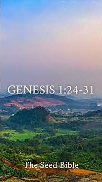 Genesis 1:24-31 | The Creation of the World | The Seed Bible