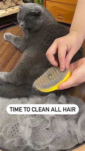 ▶️ Refreshing Mist Pet Grooming Comb for Cats and Dogs Brush ( # 1108 ) @MaviGadgets