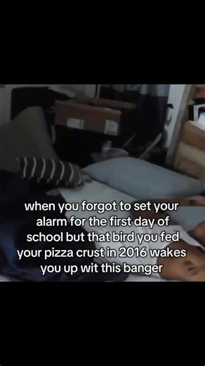 the oof memes on Instagram: "‎ C: jt008017 on tt . . Follow @the.oof.memes for more meme content! ❤️ . . #alarm #firstdayofschool #bird #pizzacrust #2016nostalgia #2016 #wakep #ishowspeed #ishowspeedmemes #ishowmeat #iknowbangers #igreels #reels #memes #brickbybrick #goofyahhmemes #giftok"