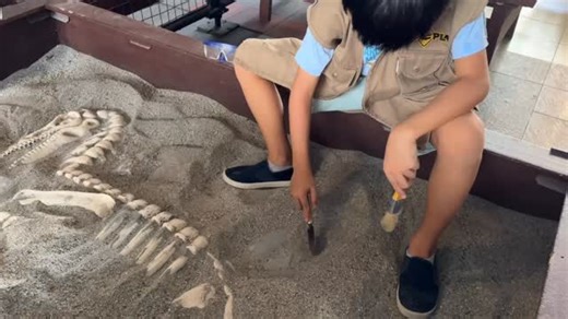 A future paleontologist spotted at Dino Play today! 🦕 Try your hand at dusting off rocks to uncover fossils and discover what they reveal about ancient creatures and the world they once lived in. 🎟️ P200 per person (child/adult) Tickets available at The Mind Museum ticket booth. See you at Dino Play! #DinoPlay | The Mind Museum