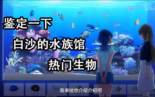 【白沙的水族馆】真的有人在美少女贴贴番里科普鱼类？