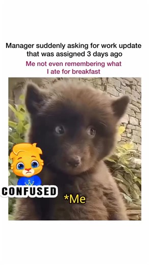 Bossroast Corporatelife | #corporatehumor #officereels #corporatelife #workstruggles #bossculture workselfie workworkworkworkwork trendingreels viralreels❤️... | Instagram