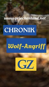 2.3K views · 18 reactions | #griechenland #griechenlandzeitung #news #wolf #attack | Griechenland Zeitung | Facebook