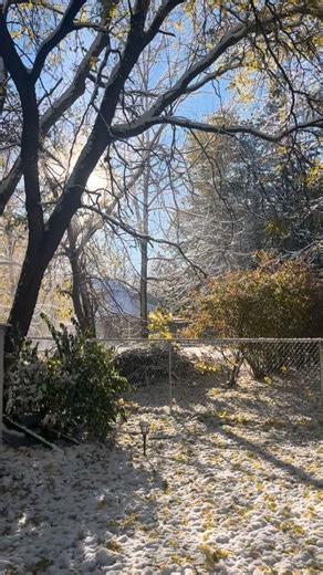 Our rescue animals being happy makes us happy. And we are overjoyed when they find amazing homes. Want to be a part of our journey? Join us as a volunteer or foster parent. Every inch of effort is needed to keep helping animals in need. | Happy Feet Pet Rescue