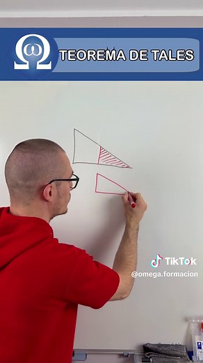 Teorema de Tales: Proporcionalidad en Geometría