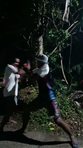 Kung Fu fights..#funny birooan
