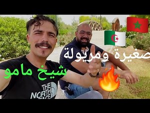 chikh mamo 48🇲🇦 🇩🇿-🔥bayna oujdia 2023🔥 allo MaMo +212669181976