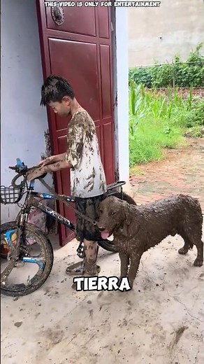 🐶 Boy tries to bathe his dog: you won't believe how much it helps! 😍#shortvideo