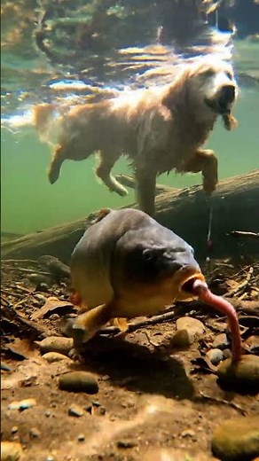 🤯2025 Vision REVEALED! You Won't Believe What's Coming! 🔮 #FutureTech #Innovation