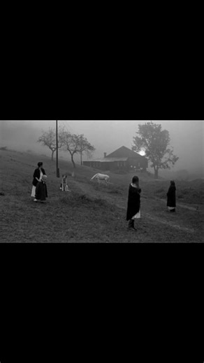 BUDALA on Instagram: "🎬 Nostalghia (1983) 🎥 Andrey Tarkovski 🎶 Johann Sebastian Bach #andreytarkovsky #andreitarkovsky #tarkovsky #tarkovski #nostalgia #nostalji #budala #filmvideo #filmscene #movie #movies #film #films #cinematography #cinema #sinema"
