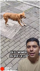 la modelo mas hermosa | Sebastian Cardona