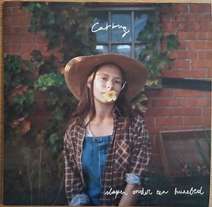 Catbug - slapen onder een hunebed