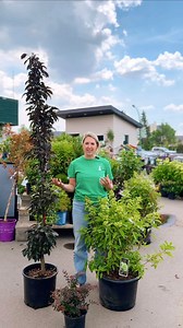 17 reactions | How do you create a cohesive yard?  By using...