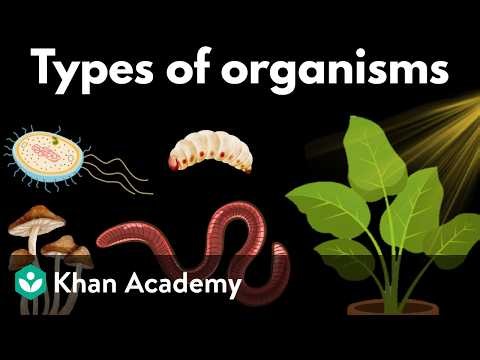 Types of organisms | Middle school biology | Khan Academy