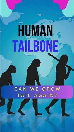 Can Human Grow A Tail Again? Truth About The Hidden Tailbone #shorts #funfacts