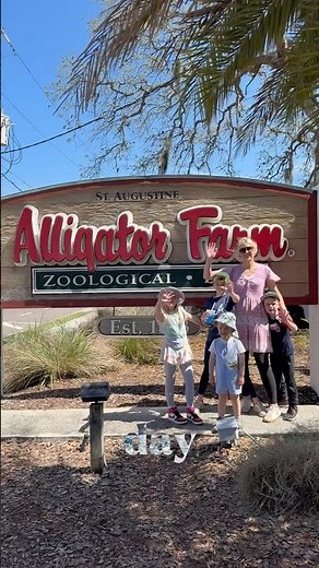 🐊 BEST day at St. Augustine Alligator Farm 🐊 🦜 watch 👀 & go! #staugustine #alligator #florida