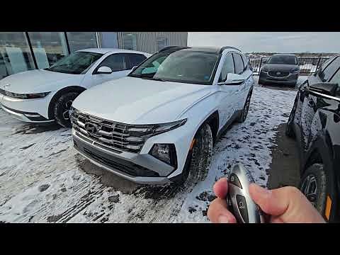 Mastering Hyundai's Remote Smart Parking Assist with Your Key Fob