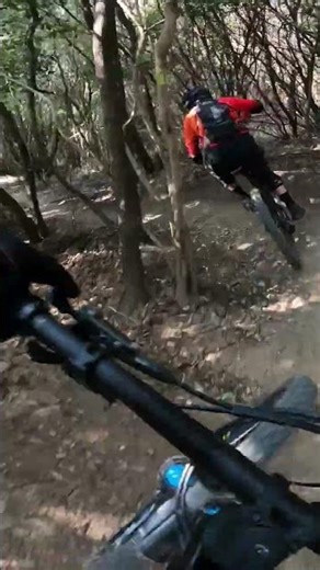 Zago, Poggio Pelato #iosonofreeride