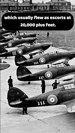 Spitfire vs. Hurricane During The Battle of Britain