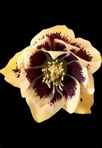 19:46 || “I’m better than her