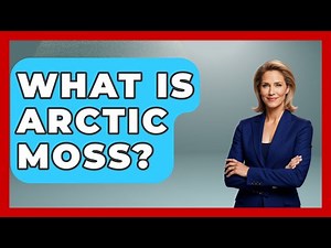 What Is Arctic Moss? - Polar Regions Uncovered