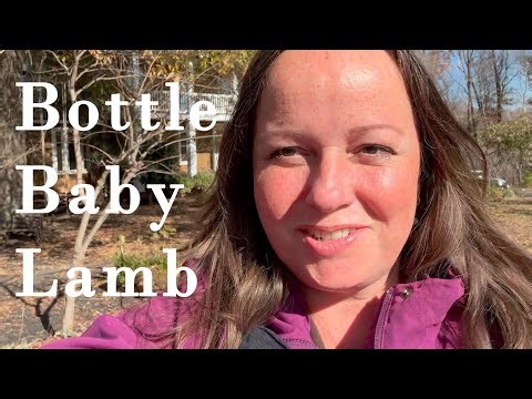 Kyle comes into my life A Sheep Story