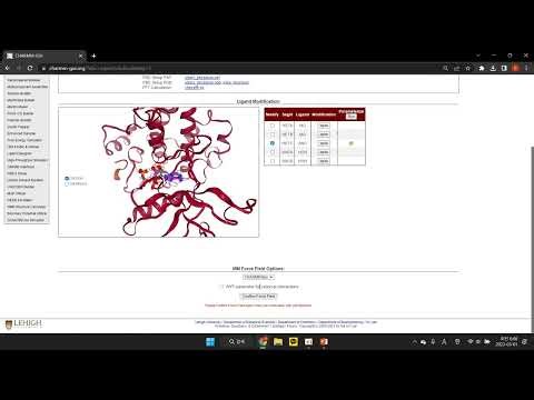 2. QM/MM Interfacer - Solution Systems: Insulin Receptor Kinase (1IR3)