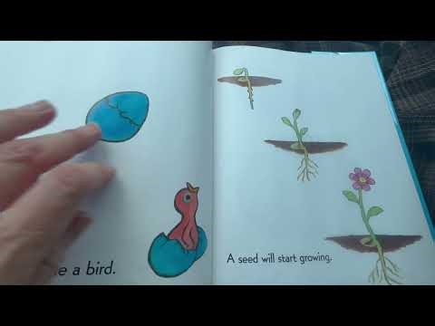 “When Spring Comes” #spring #kidsbooks #springvibes #learnenglish #primavera