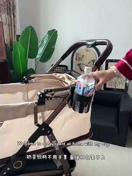 One Click Folding Large Pet Stroller with Wheels