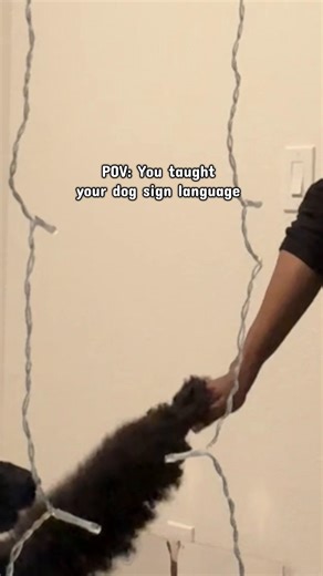 Understanding Dog Communication Through Sign Language