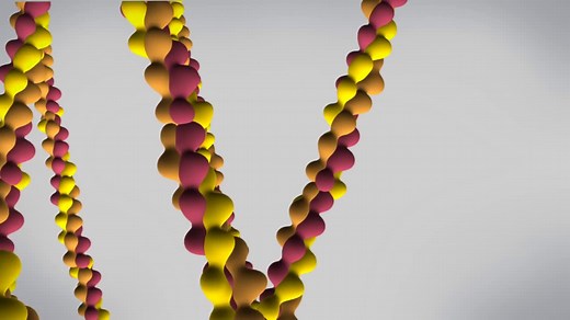 蛋白质的3D结构 动画演示 新手向 直观 科普向 protein 3D structure