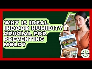 Why Is Ideal Indoor Humidity Crucial For Preventing Mold? - Eco Home Blueprint