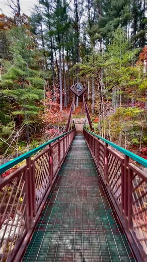 15K views · 134 reactions | The Suspension Bridge above Cedar Falls, also known as “The Sphinx.” On the Gorge Overlook Trail, Hocking State Park. | Ohio Hiking Trails and Historical Sites. | Facebook