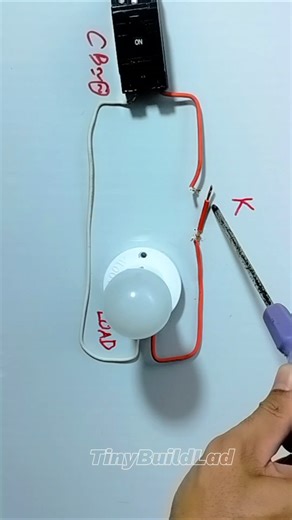 Basic Electricity Made Easy: AC Power, Bulb & Switch. #shorts #simplecircuit #diy #learning #science