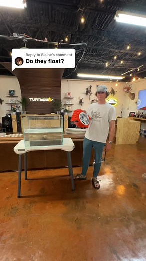Creating a Comfortable Turtle Box Enclosure