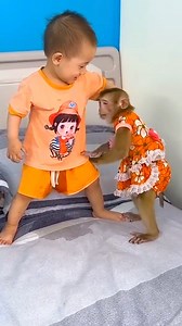 Monkey Kaka called Mom for help when Diem pees on the bed #KakaVideo | Kaka Video