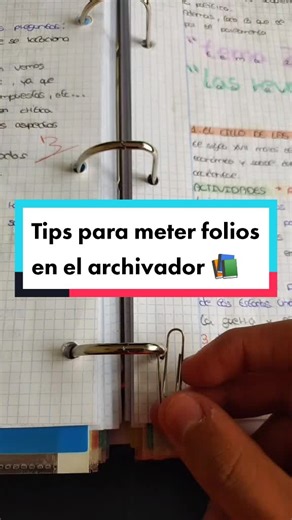 Organize Your Study Materials Efficiently with These Archiver Tips