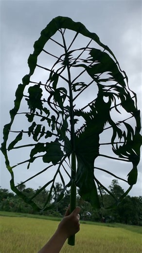 Pray Philippines | Dahonking Vlogs