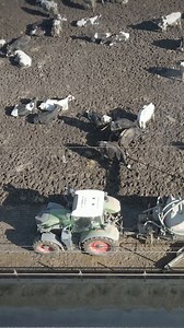 Thousands of acres, thousands of hours. If Fendt tractors can run 24-7 for these #FendtFarmers, they will work for you. #FarmStrong #Reliability #GrowBold | Fendt