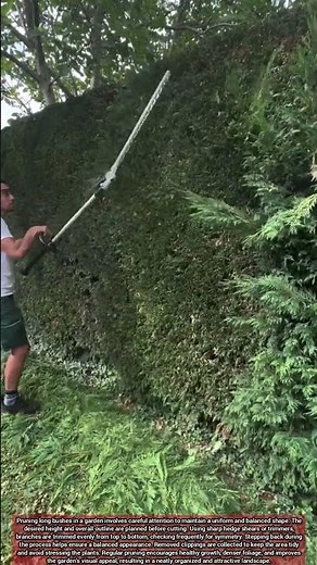 Techniques for Symmetrical and Neat Garden Bush Trimming