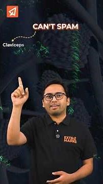 Fungi Classes & Examples Mnemonics for NEET 2026 | Easy Biology Tricks to Score High